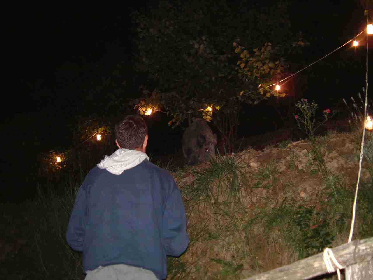  Image name: fau22-E.jpg 
 width: 1280 pixel 
 height: 960 pixel 
 Size: 42786 bytes 
 Click to enlarge 